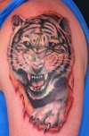 White tiger tattoo