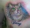 cat portrait tattoo