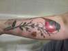 pink robin on vine holding a lock tattoo