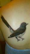 2nd willy wag tail tattoo