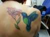 Hummingbird and Lily tattoo