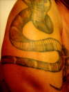 King Cobra II tattoo
