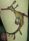 Sea horse tattoo
