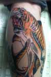 Tiger shark tattoo