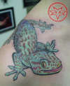 Tokay gecko tattoo