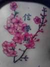 cherry blossom back piece tattoo