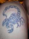 scorpion tattoo