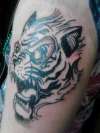 tiger i drew tattoo