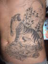 watershade tiger tattoo