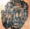Lion/lioness fix tattoo
