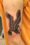 Sailor Jerry Eagle tattoo