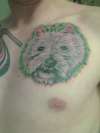 Westie tattoo