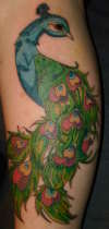 peacock tattoo