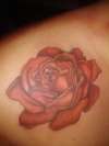 A red rose tattoo