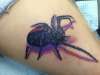 Black widow tattoo