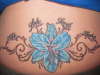 Blue Stargazer with Live, Love, Laugh, & Learn tattoo