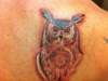 Owl tattoo