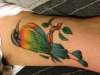 Torogoz tattoo