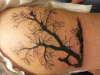 coon dog tattoo