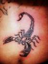 scorpion tattoo