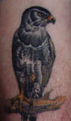 Black Bird tattoo