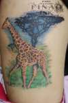 Giraffe tattoo