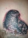 Hawk tattoo