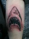Jaws tattoo