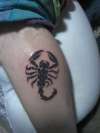 Scorpion tattoo