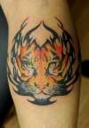 Tiger Tribal tattoo