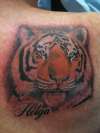 Tiger in colour tattoo