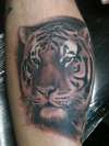 Tiger portrait tattoo