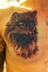 Wolf on chest tattoo