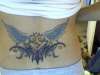 Stars, moons, wings, buttefly completly healed tattoo