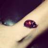 ladybug tattoo
