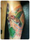 Alex Grey inspired hummingbird tattoo