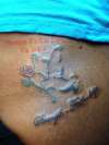 Bird tattoo