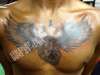 Heart and wings tattoo