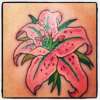 Lilly tattoo