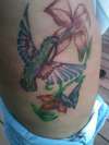 humming bird tattoo