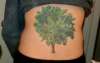 Tree on Back tattoo