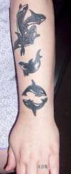 Orca Killer Whale Arm tattoo