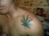 weed with shadows tattoo