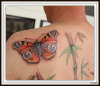 Butterfly work in progress full back piece tattoo