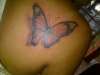 butterfly tattoo