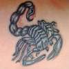 my scorpion tattoo