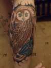 Owl tattoo