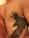 Raven tattoo.