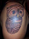 fist time doing an owl tattoo... with hawk machine