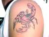 amanda's pink scorpian tattoo